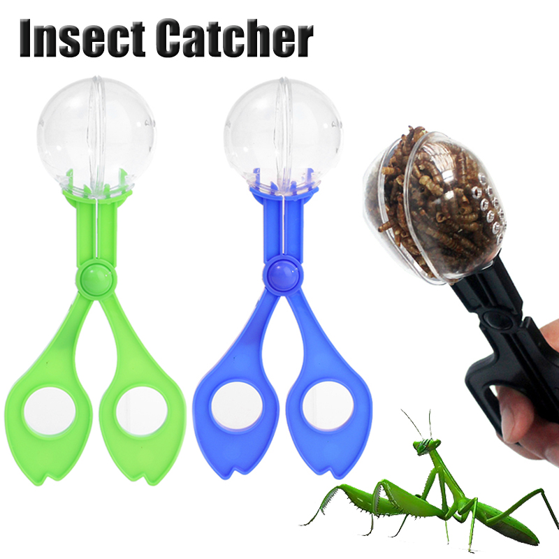 Kids Outdoor Adventure Insect  - Outdoor Adventure Games 评论和价格